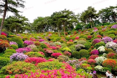 七月南川新景 蔬菜種植新去處，休閑農業新體驗